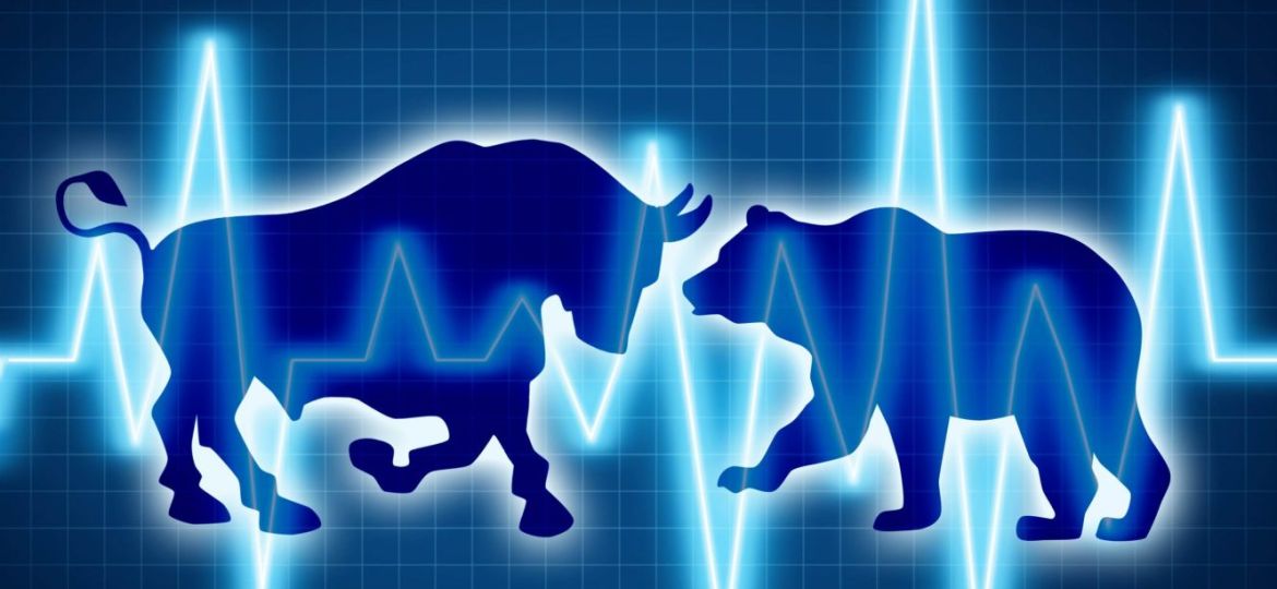 BullvsBear